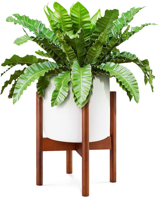YEALEO Adjustable Plant Stand WWW.DUKAANSEY.PK