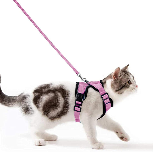 Small Dog and cat Harness dukaansey.pk