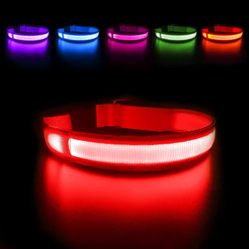 MASBRILL LED Dog Collars dukaansey.pk