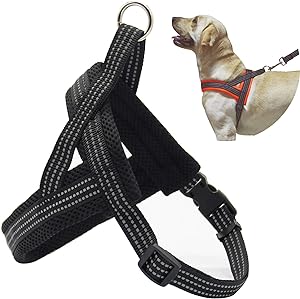 Adjustable Dog Harness dukaansay.pk
