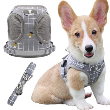 Adjustable Dog Harness dukaansey.pk